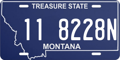 MT license plate 118228N