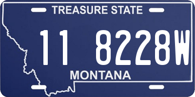 MT license plate 118228W