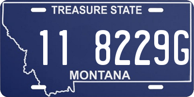 MT license plate 118229G