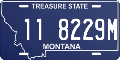 MT license plate 118229M