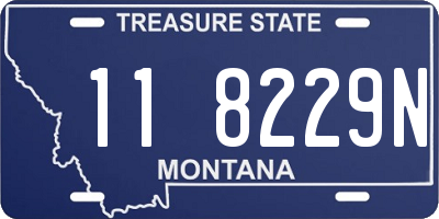 MT license plate 118229N