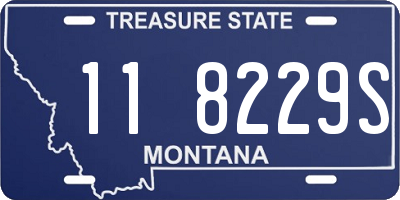 MT license plate 118229S