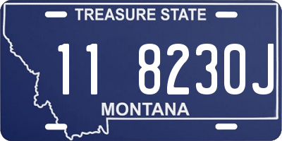 MT license plate 118230J