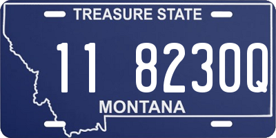 MT license plate 118230Q
