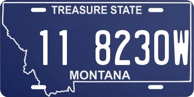 MT license plate 118230W