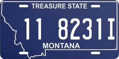 MT license plate 118231I