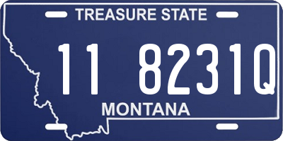 MT license plate 118231Q