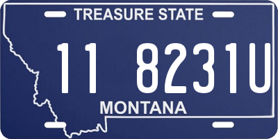 MT license plate 118231U