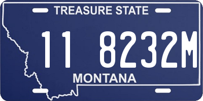 MT license plate 118232M