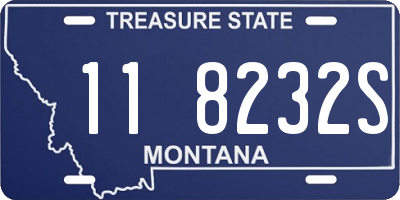 MT license plate 118232S