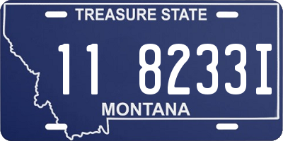 MT license plate 118233I