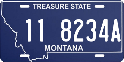 MT license plate 118234A