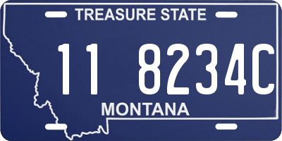 MT license plate 118234C