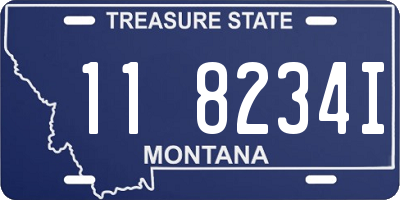 MT license plate 118234I
