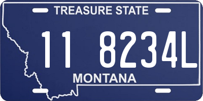 MT license plate 118234L