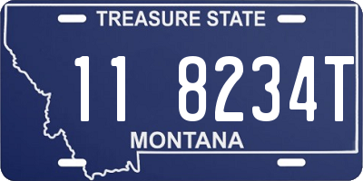 MT license plate 118234T