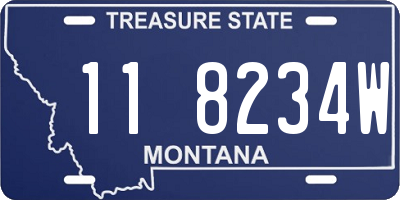 MT license plate 118234W