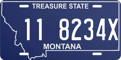 MT license plate 118234X