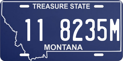MT license plate 118235M