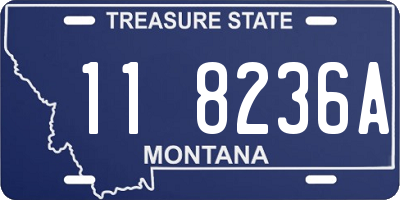 MT license plate 118236A