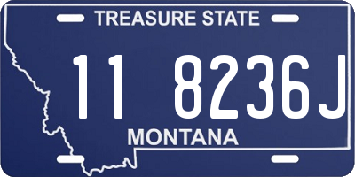 MT license plate 118236J