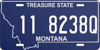 MT license plate 118238Q