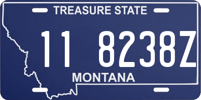 MT license plate 118238Z