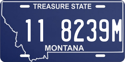 MT license plate 118239M