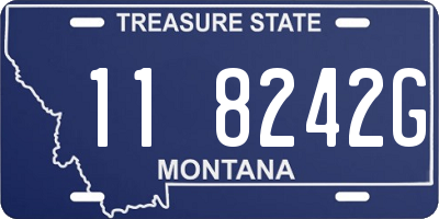 MT license plate 118242G