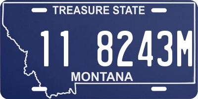MT license plate 118243M