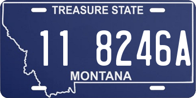 MT license plate 118246A
