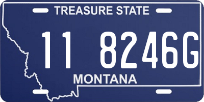 MT license plate 118246G