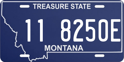 MT license plate 118250E