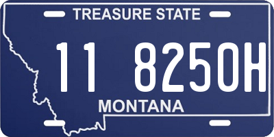 MT license plate 118250H