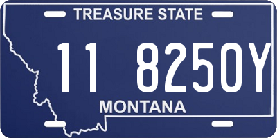 MT license plate 118250Y