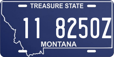 MT license plate 118250Z