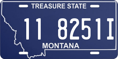 MT license plate 118251I