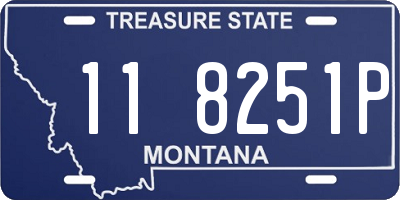 MT license plate 118251P