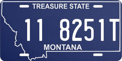 MT license plate 118251T