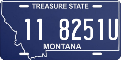 MT license plate 118251U