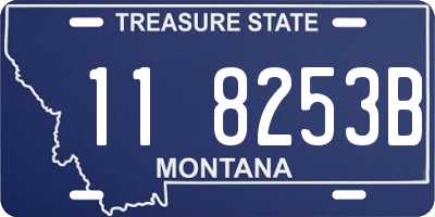 MT license plate 118253B