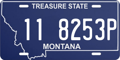 MT license plate 118253P