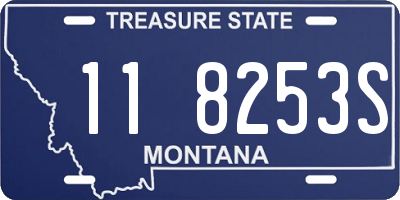 MT license plate 118253S