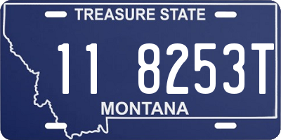 MT license plate 118253T
