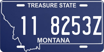 MT license plate 118253Z