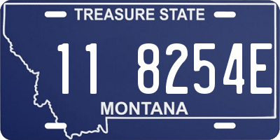 MT license plate 118254E