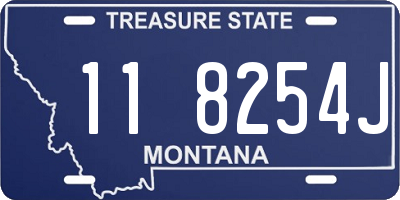 MT license plate 118254J