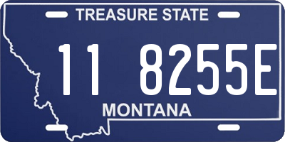 MT license plate 118255E