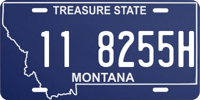 MT license plate 118255H