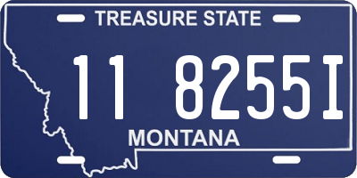 MT license plate 118255I